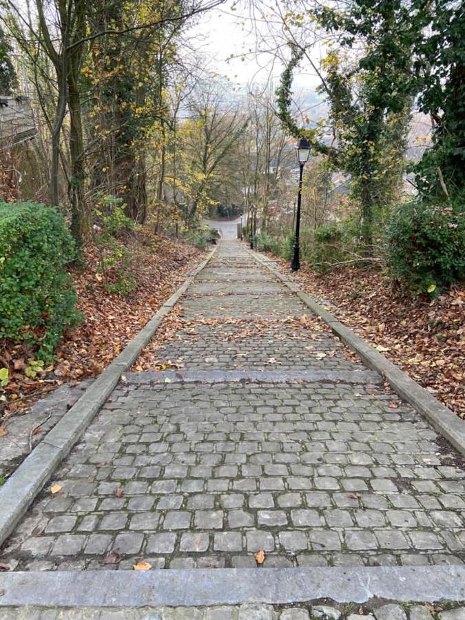 Vakantiewoning De Kassei Geraardsbergen Max 12Personen Екстериор снимка
