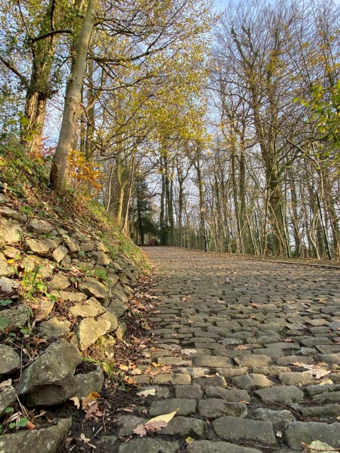 Vakantiewoning De Kassei Geraardsbergen Max 12Personen Екстериор снимка